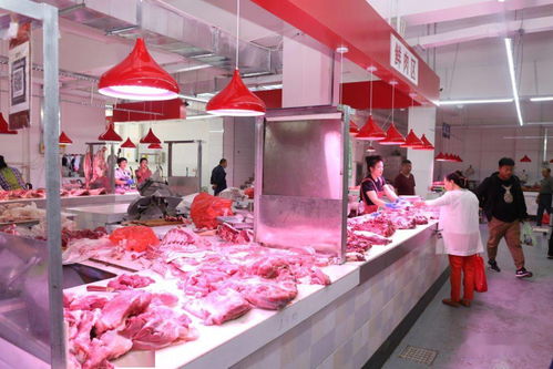 白城市節(jié)日市場(chǎng)生活必需品供應(yīng)充足平穩(wěn) 食用農(nóng)產(chǎn)品批發(fā)市場(chǎng)運(yùn)行良好
