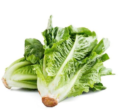 家長(zhǎng)們看過(guò)來(lái) 這四種食物給孩子吃，好消化更長(zhǎng)個(gè)